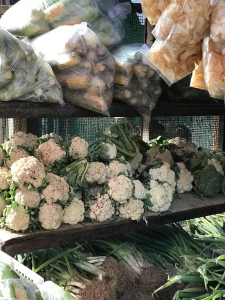 Raflarda sergilenen çeşitli taze sebzeler. Yiyecek stokları, marketler, sağlıklı beslenme ve market kavramları için mükemmel..