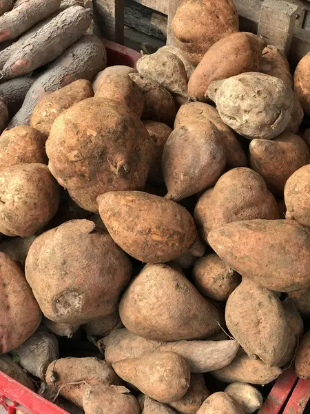 Patateslerin kırmızı sepete konulması, gıda blogları, market reklamları, yemek tarifleri ve tarladan sofraya konseptler için idealdir..