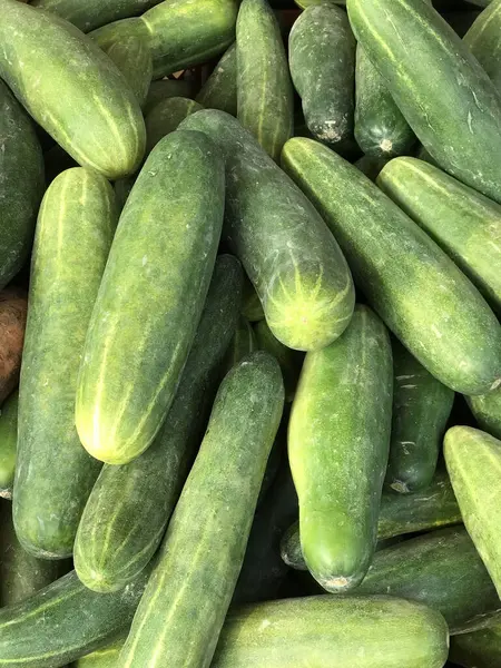 Masadaki salatalık yığını, yemek blogları, sağlıklı beslenme makaleleri, yemek tarifleri web siteleri veya market reklamları için mükemmel..