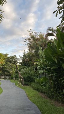 Bereketli bir tropikal bahçede, palmiye ağaçları ve bulutlu bir gökyüzünün altında çiçek açan çalılar arasında dolambaçlı beton bir yol..