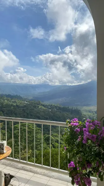 Balkondaki saksı bitkilerinin çerçevelediği yemyeşil bir vadiden yükselen volkanın nefes kesici manzarası..