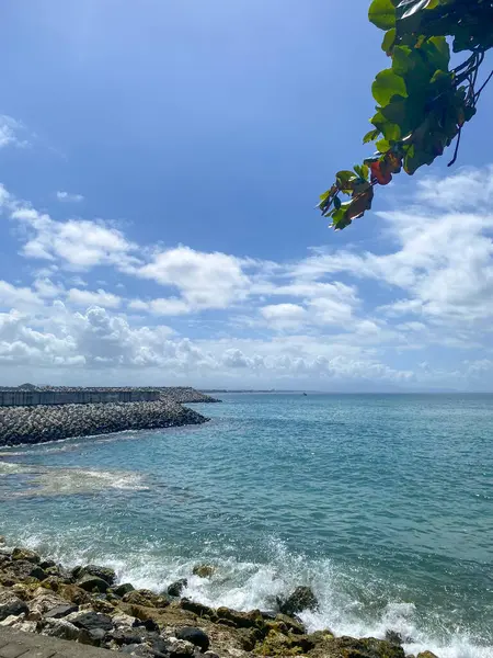 Kayalık bir kıyı şeridi ile sakin bir okyanus manzarası, kayalara çarpan dalgalar, uzakta bir iskele, ve tüylü beyaz bulutlu mavi bir gökyüzü..