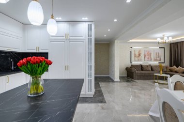 Mutfak tezgahı siyah mermer tezgahlı, büyük, lüks, modern bir stüdyo.