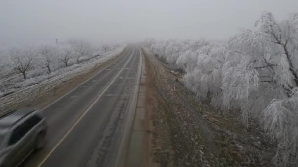 Flight Drone Winter Road Heavy Fog Hoarfroston Tree Branches — Stockvideo
