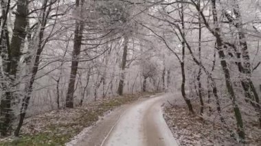 Flying dirt road in the winter forest between trees covered in hoar frost, drone shot