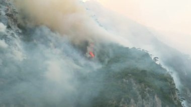 Lake Piva, Montenegro, Augist 15, 2021: Wild fire over mountain forest. Red sun looking through clouds of smoke. Handheld shot, camera shake