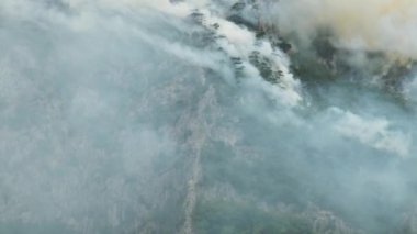 Piva Gölü, Karadağ, 15 Ağustos 2021: dağ ormanı üzerindeki vahşi yangın. Kızıl güneş duman bulutlarının arasından bakıyor. El kamerası görüntüsü, kamera titremesi, kamera sensöründe küçük bir toz lekesi..