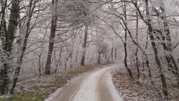 Flying Dirt Road Winter Forest Trees Covered Hoar Frost Drone — Stock Video