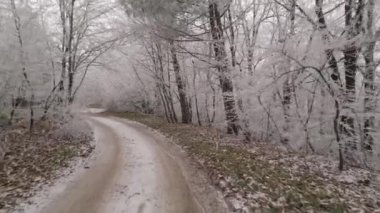 Flying dirt road in the winter forest between trees covered in hoar frost, drone shot
