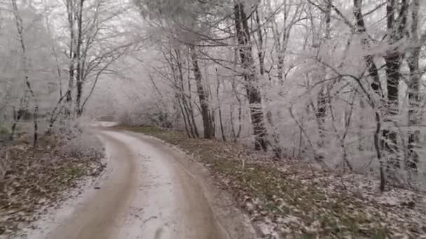 Flying Dirt Road Winter Forest Trees Covered Hoar Frost Drone — Stock videók