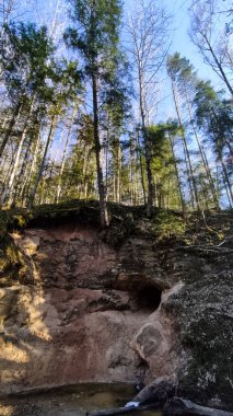 Letonya 'daki Gauja Ulusal Parkı' ndaki Kubesele Doğa Yolu 'ndaki Runtins Nehri kıyısındaki Saulstari Kayalıkları ve Mağarası.