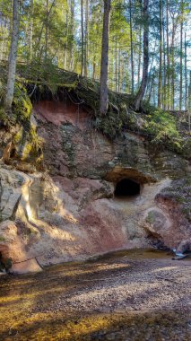 Letonya 'daki Gauja Ulusal Parkı' ndaki Kubesele Doğa Yolu 'ndaki Runtins Nehri kıyısındaki Saulstari Kayalıkları ve Mağarası.