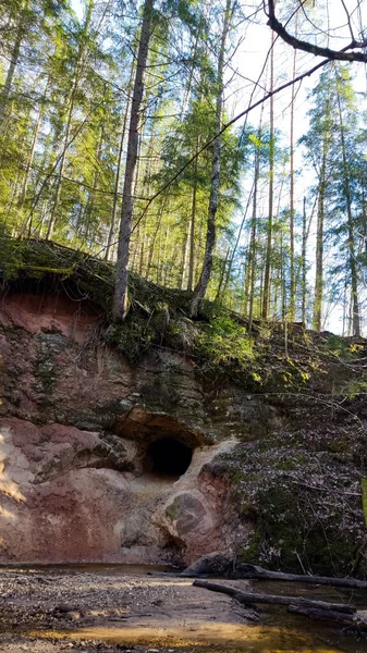 Saulstari Szikla Barlang Folyónál Runtins Kubesele Tanösvény Gauja Nemzeti Park — Stock Fotó