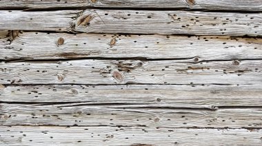 Demiryolu Uyuyan Taksiciler Kereste Demiryolu Kerestesi 'nin Kapanışı. Antik Antik Ahşap Ahır Tahtaları arka plan olarak kullanılıyor. Doğal Ahşap Doku Gri Arkaplan. Yaşlı firavun eski ahşap dokusunu kaplıyor.