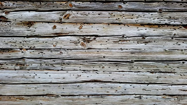 铁路卧铺生物分类木料服装 古埃及木桶板作为背景 天然木质部灰色背景 老杉木木板 老木结构 — 图库照片