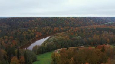 Letonya 'nın Sigulda şehrinde Gauja Nehri yakınlarında sonbahar. Renkli Ormanlar ve Vadi İHA 'sı Gauja Ulusal Parkı' nı vurdu. Şeytan Uçurumu Köprüsü Gauja Nehri üzerinde Kayak Resort Kakitis 'ten görünüyor