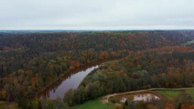 Letonya 'nın Sigulda şehrinde Gauja Nehri yakınlarında sonbahar. Renkli Ormanlar ve Vadi İHA 'sı Gauja Ulusal Parkı' nı vurdu. Şeytan Uçurumu Köprüsü Gauja Nehri üzerinde Kayak Resort Kakitis 'ten görünüyor