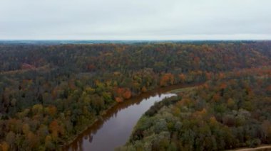 Letonya 'nın Sigulda şehrinde Gauja Nehri yakınlarında sonbahar. Renkli Ormanlar ve Vadi İHA 'sı Gauja Ulusal Parkı' nı vurdu. Şeytan Uçurumu Köprüsü Gauja Nehri üzerinde Kayak Resort Kakitis 'ten görünüyor
