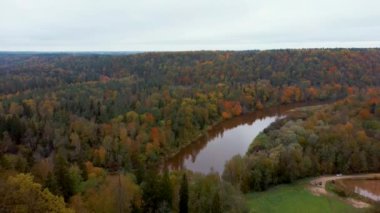 Letonya 'nın Sigulda şehrinde Gauja Nehri yakınlarında sonbahar. Renkli Ormanlar ve Vadi İHA 'sı Gauja Ulusal Parkı' nı vurdu. Şeytan Uçurumu Köprüsü Gauja Nehri üzerinde Kayak Resort Kakitis 'ten görünüyor