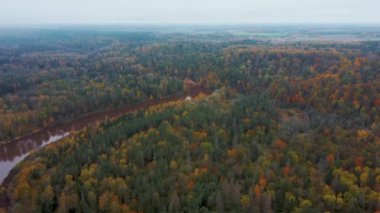 Letonya 'nın Sigulda şehrinde Gauja Nehri yakınlarında sonbahar. Renkli Ormanlar ve Vadi İHA 'sı Gauja Ulusal Parkı' nı vurdu. Şeytan Uçurumu Köprüsü Gauja Nehri üzerinde Kayak Resort Kakitis 'ten görünüyor