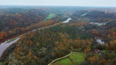 Letonya 'nın Sigulda şehrinde Gauja Nehri yakınlarında sonbahar. Renkli Ormanlar ve Vadi İHA 'sı Gauja Ulusal Parkı' nı vurdu. Şeytan Uçurumu Köprüsü Gauja Nehri üzerinde Kayak Resort Kakitis 'ten görünüyor