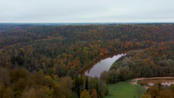 Jesienna Rzeka Gauja Pobliżu Siguldy Łotwa Kolorowe Lasy Dolina Drone — Wideo stockowe