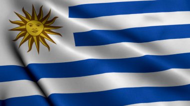 Uruguay Bayrağı. Uruguay 'ın Saten kumaş desenli bayrağını sallıyor. Uruguay Doğu Cumhuriyeti 'nin Gerçek Doku Bayrağı