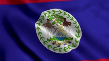Belize Bayrağı. Belize 'nin Saten kumaş desenli bayrağını sallıyor. Belize 4K Videosunun Gerçek Doku Bayrağı