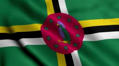 Dominica bayrağı. Dominica 'nın 3 boyutlu bayrağının kumaş dokusu sallanıyor. Dominica 4K Videosunun Gerçek Doku Bayrağı
