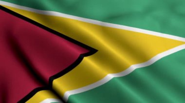 Guyana Bayrağı. Guyana 'nın Saten kumaş desenli bayrağını sallıyor. Guyana Kooperatif Cumhuriyeti 'nin Gerçek Doku Bayrağı 4K Video