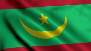 Moritanya Bayrağı. Moritanya 'nın Saten kumaş desenli bayrağını sallıyor. Moritanya İslam Cumhuriyeti 'nin Gerçek Doku Bayrağı 4K Videosu