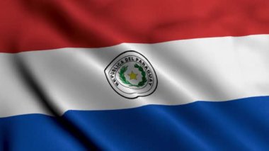 Paraguay Bayrağı. Paraguay 'ın Saten kumaş desenli bayrağını sallıyor. Paraguay Cumhuriyeti 'nin Gerçek Doku Bayrağı 4K Videosu