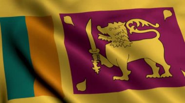 Sri Lanka Bayrağı. Sri Lanka 3D illüstrasyon kumaş dokusu bayrağı sallıyor. Sri Lanka Demokratik Sosyalist Cumhuriyeti 'nin Gerçek Doku Bayrağı 4K Videosu