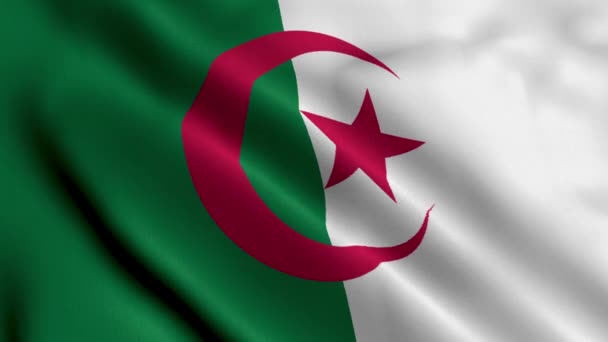Σημαία Αλγερίας Υφασμάτινο Σατέν Υφάδι Σημαία Αλγερίας Εικονογράφηση Σημαία Πραγματικής — Αρχείο Βίντεο