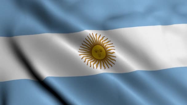 Argentina Flagga Viftande Tyg Satin Textur Flagga Argentina Illustration Real — Stockvideo