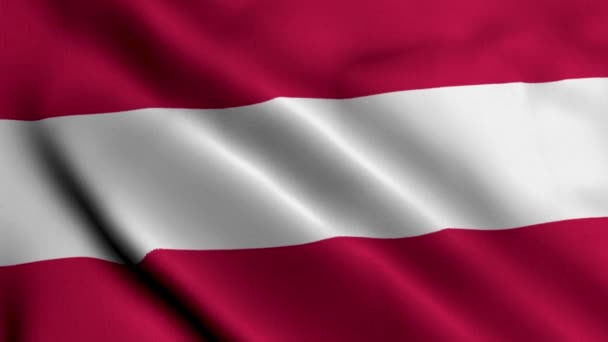 Avusturya Bayrağı Avusturya Nın Saten Kumaş Desenli Bayrağını Sallıyor Boyutlu — Stok video