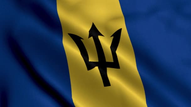 Barbados Flagga Viftande Tyg Satin Textur Flagga Barbados Illustration Real — Stockvideo