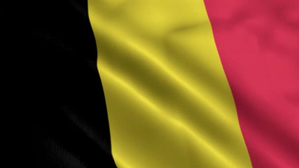 Belgium Flag Waving Fabric Satin Texture Flag Belgium Illustration Real — Stock Video