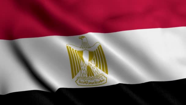 Egyptská Vlajka Vlnění Tkaniny Satén Textura Vlajky Egypta Ilustrace Skutečná — Stock video