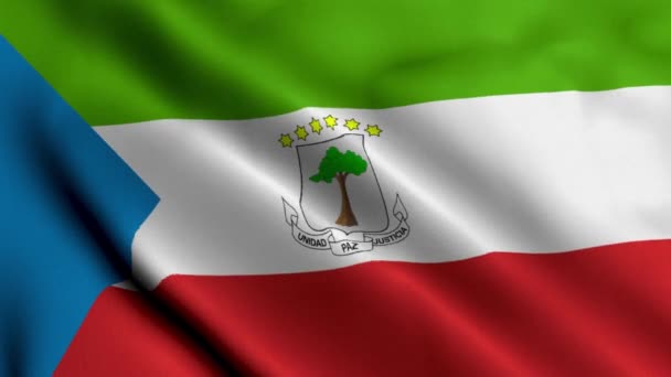 赤道几内亚国旗 波纹面料缎子面料的赤道几内亚国旗3D插图 赤道几内亚真正的纹理标志4K视频 — 图库视频影像
