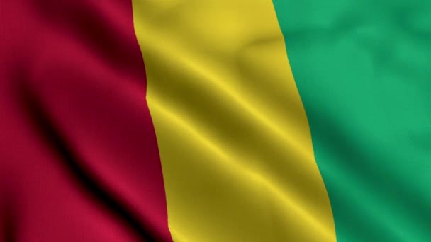 Guinejská Vlajka Vlnění Tkaniny Satén Textura Vlajka Guineje Ilustrace Real — Stock video