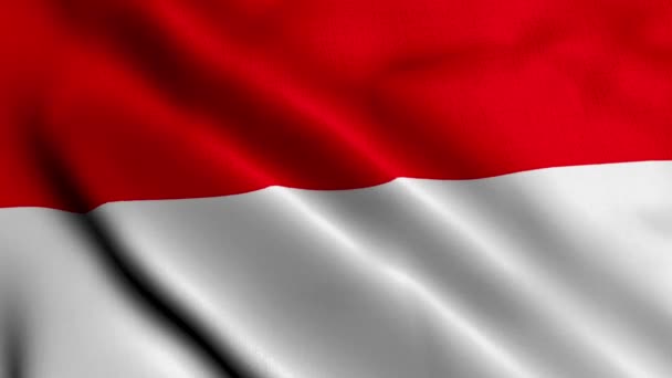 인도네시아 인도네시아 일러스트의 웨이브 패브릭 텍스처 플래그 텍스처 인도네시아 공화국의 — 비디오