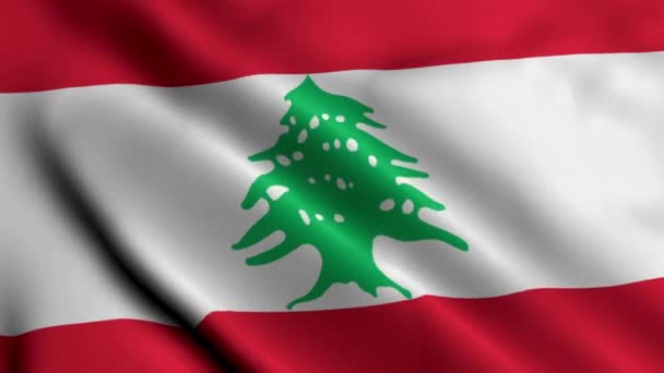 レバノン国旗 レバノンの3Dイラストの生地サテンテクスチャの旗を編む レバノン共和国の本当のテクスチャの旗 ビデオ — ストック動画