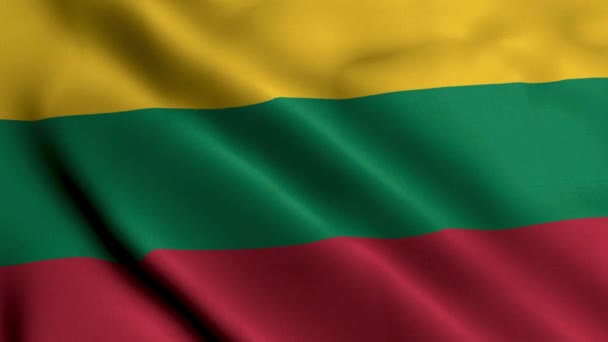 Lituania Bandiera Tessuto Ondulato Satin Texture Bandiera Della Lituania Illustrazione — Video Stock