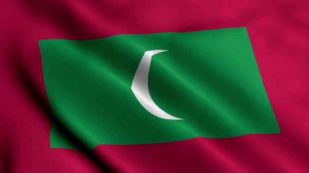 Maldives Flag Waving Fabric Satin Texture Flag Maldives Illustration Real — Stock Video