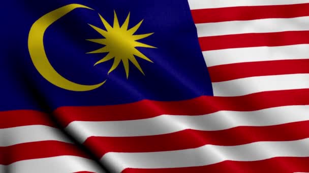 Malaysia Flagga Viftande Tyg Satin Textur Flagga Malaysia Illustration Real — Stockvideo