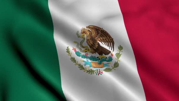 Mexico Vlag Waving Fabric Satin Texture Vlag Van Mexico Illustratie — Stockvideo