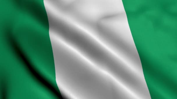 Nijerya Bayrağı Nijerya Nın Saten Kumaş Desenli Bayrağını Sallıyor Nijerya — Stok video