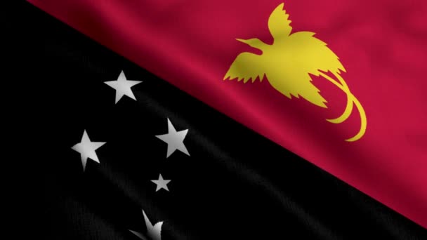 Pápua Guinea Zászló Integető Szövet Szatén Textúra Zászló Pápua Guinea — Stock videók