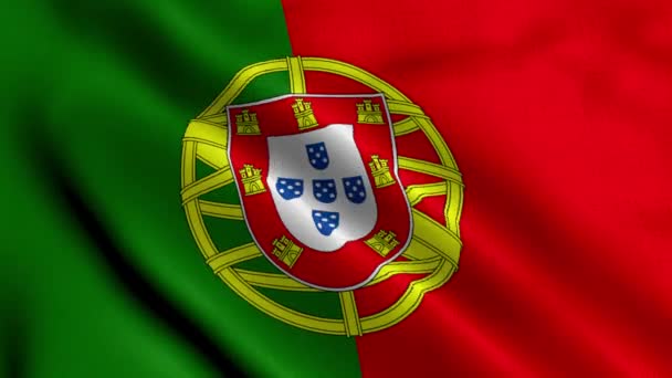 Bandera Portugal Tela Ondulada Satén Textura Bandera Portugal Ilustración Bandera — Vídeo de stock